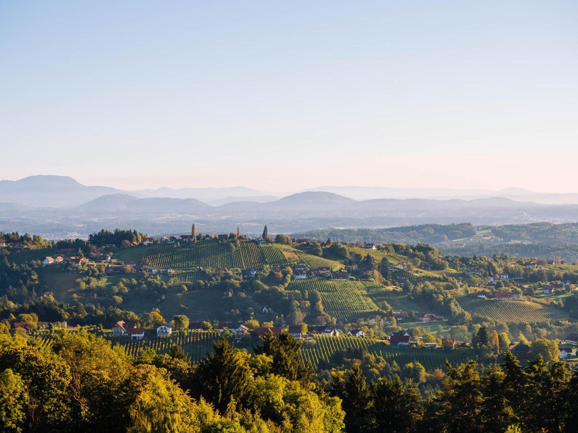 Schilcherlandleben - Hochgrail Greisdorf Zewnętrze zdjęcie